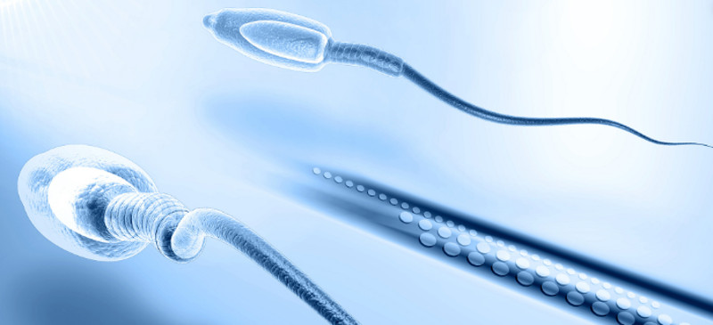 biopsia testicular infertilidad